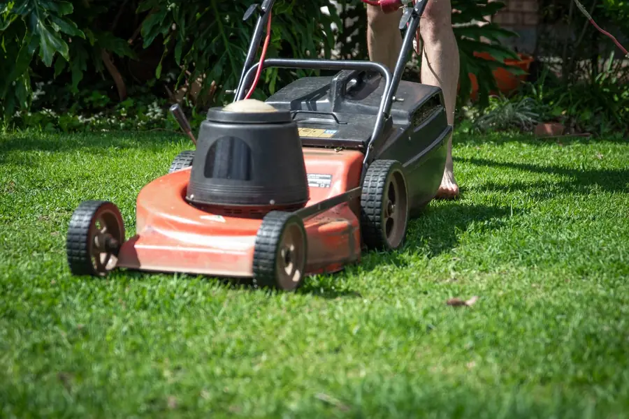 A lawn mower on freshly cut grass